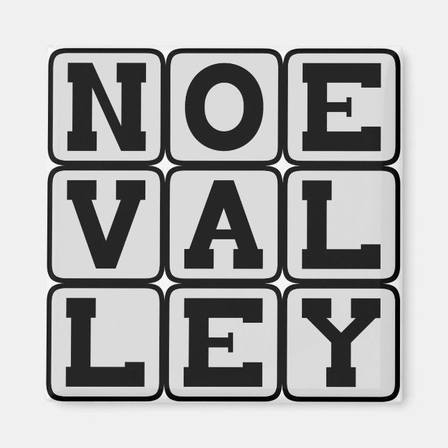 Noe Valley, San Francisco District Magnet (Framsidan)