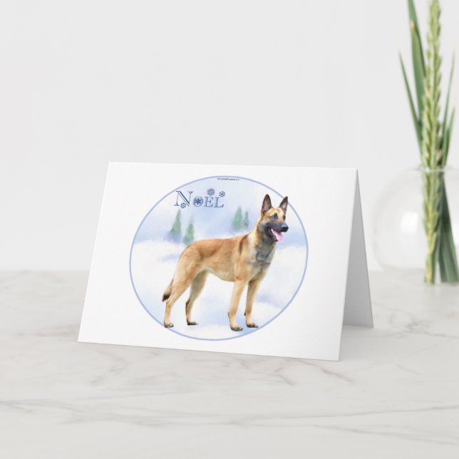 Noel belgare Malinois Helgkort (Framsida)