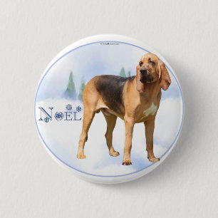 Noel Bloodhound Knapp