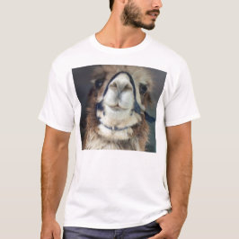 NoesNoToes Tee Shirt