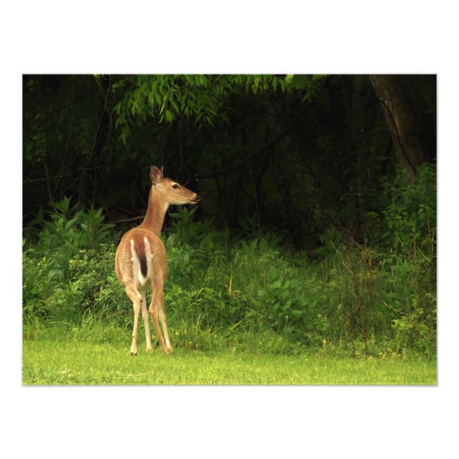 Noggrann hänsyn fototryck (Framsidan)