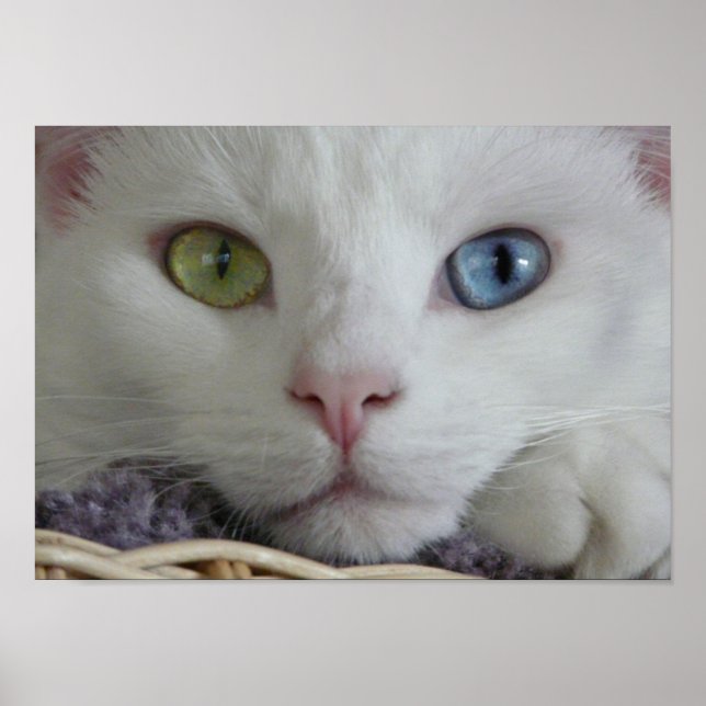 Noggrann serverfunktion poster (Framsidan)