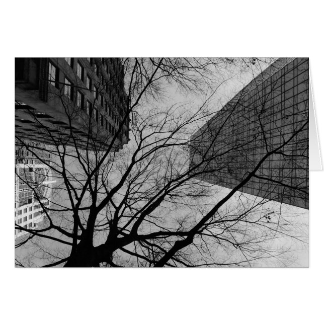 Noir City Hälsningskort (Framsidan Horizontal)