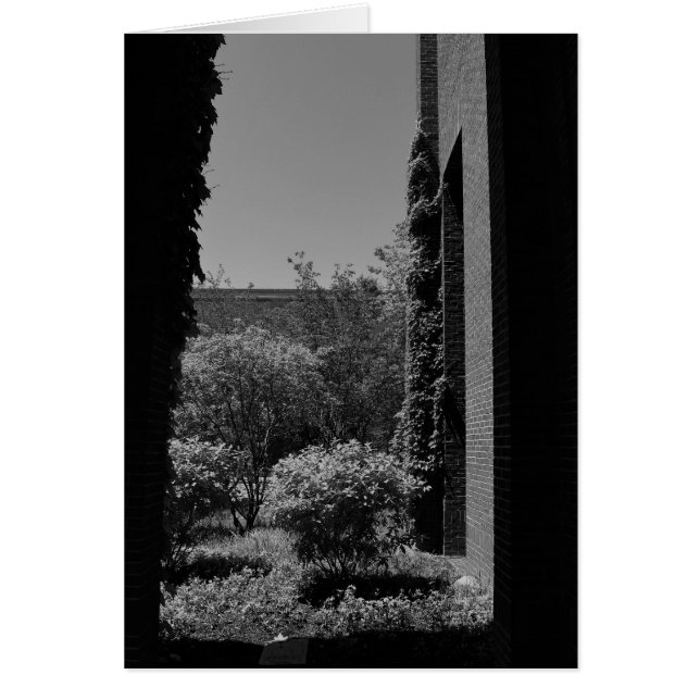 Noir City Hälsningskort (Framsidan)