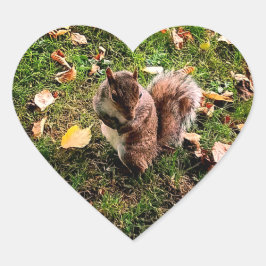 Noisy Squirrel Hjärtformat Klistermärke