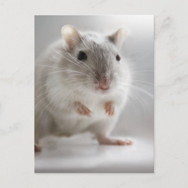 NÖJD ATT TRÄFFA DIG VYKORT (Framsida)