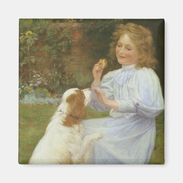 Nöjen av hopp av William Henry Gore Magnet (Framsidan)
