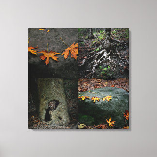 Nojoqui Falls Park Canvastryck