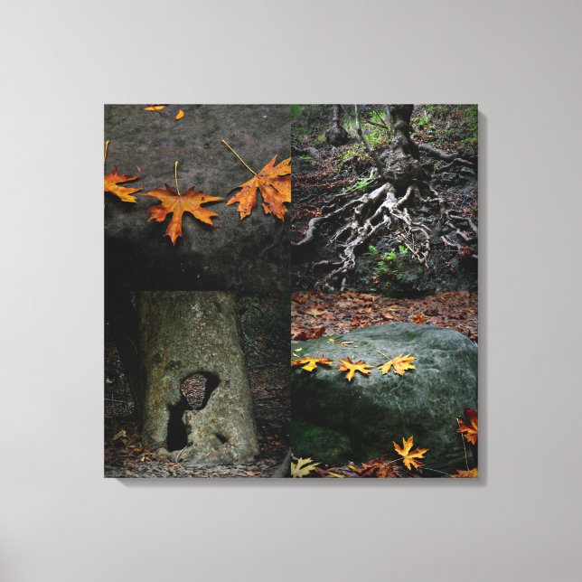 Nojoqui Falls Park Canvastryck (Framsida)