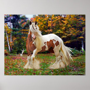 ’Nokomis’ Poster