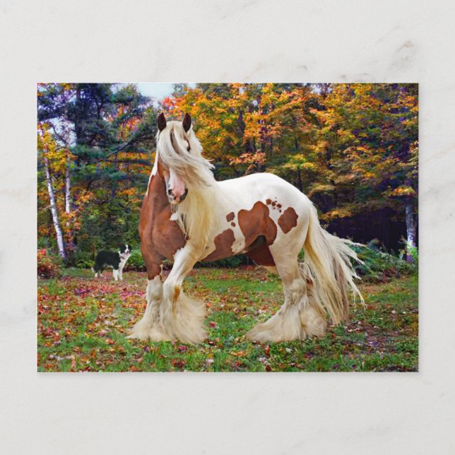 ’Nokomis’ Vykort (Framsida)