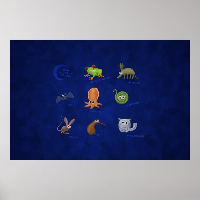 Nokvänddjur Poster (Framsidan)