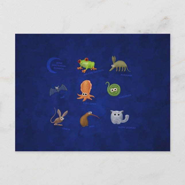 Nokvänddjur Vykort (Framsida)