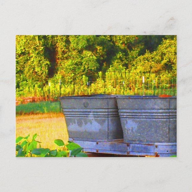 Nolas Tubs Vykort (Framsida)