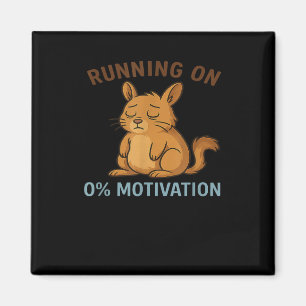 Noll motivation magnet