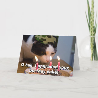 Nolla-hai!  Jag förbättrade din berfday tårta Kort