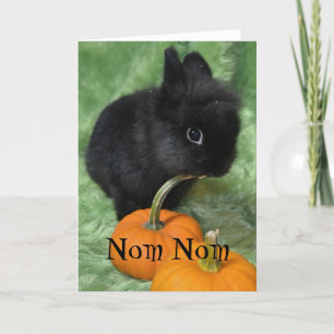 Nom Nom Halloween kaninkort Kort