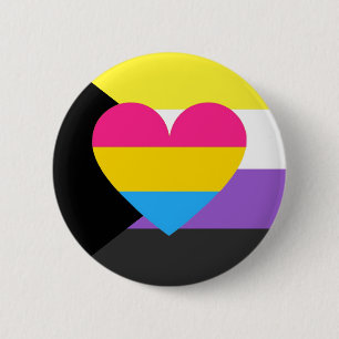Nonbinary Panromantic Demisexual pride knäppas Knapp