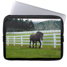 Nonesuch at Cedar Point Laptop Fodral