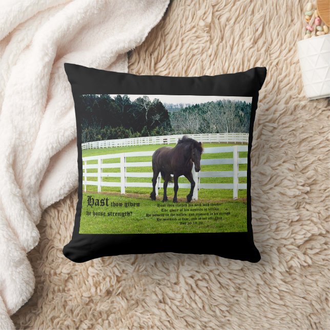 Nonesuch at Cedar Point w Job 39 Kudde (Filt)