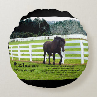 Nonesuch at Cedar Point w Job 39 Rund Kudde