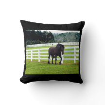 Nonesuch på Cedar Point