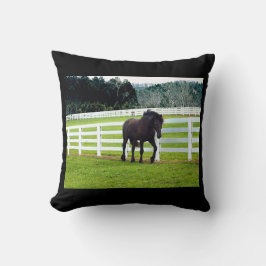 Nonesuch på Cedar Point Kudde