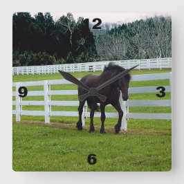 Nonesuch vid Cedar Point Fyrkantig Klocka