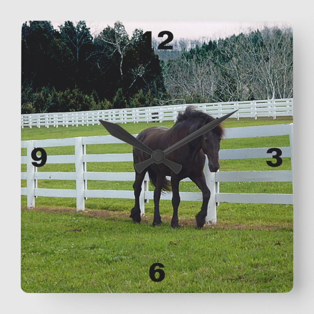 Nonesuch vid Cedar Point Fyrkantig Klocka (Framsida)