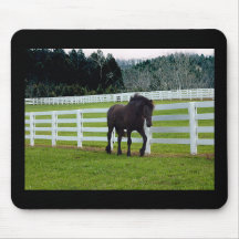 Nonesuch vid Cedar Point