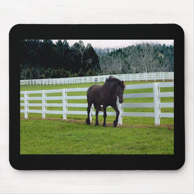 Nonesuch vid Cedar Point Musmatta (Framsidan)