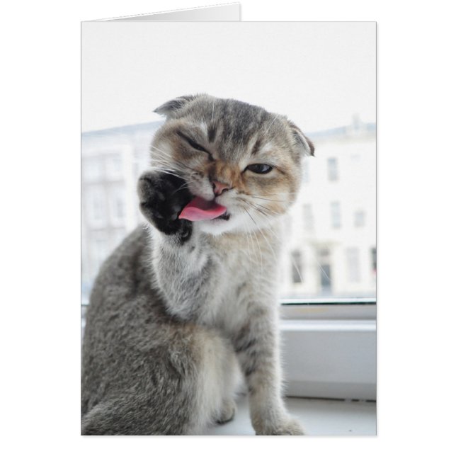 Noodles Star Trek Hälsningskort (Framsidan)