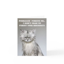 NoodlesChillaxingKatt Belad Birthday