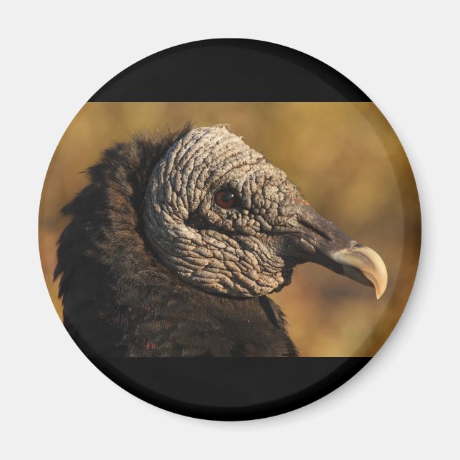 Nooks & Crannies Magnet (Framsidan)