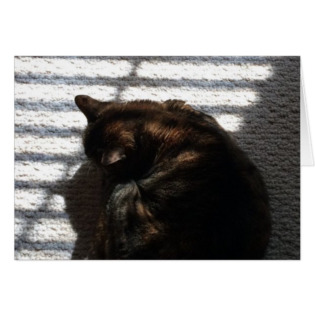 Noontime Nap, kort (Framsidan Horizontal)