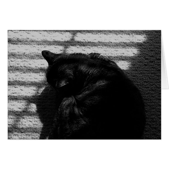 Noontime Nap/Noir, kort (Framsidan Horizontal)
