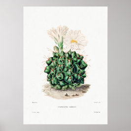 Nopal Teckning i en Cactus Flower Cactus Plant Ima Poster