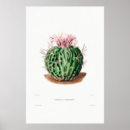 Nopal Teckning i en Cactus Flower Cactus Plant Ima Poster