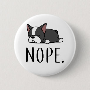 Nope Boston Terrier Knapp