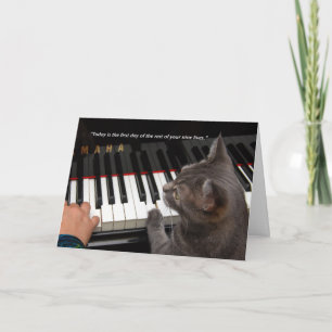 Nora 7-tums x5-mappat gratulationskort för offert kort