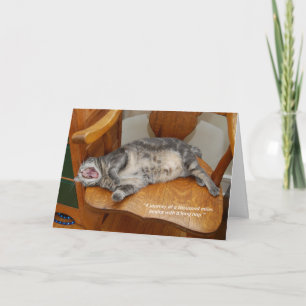 Nora 7-tums x5-mappat gratulationskort för offert kort