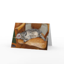 Nora 7-tums x5-mappat gratulationskort för offert