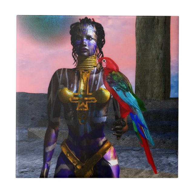 NORA CYBER WARRIOR KAKELPLATTA (Framsidan)