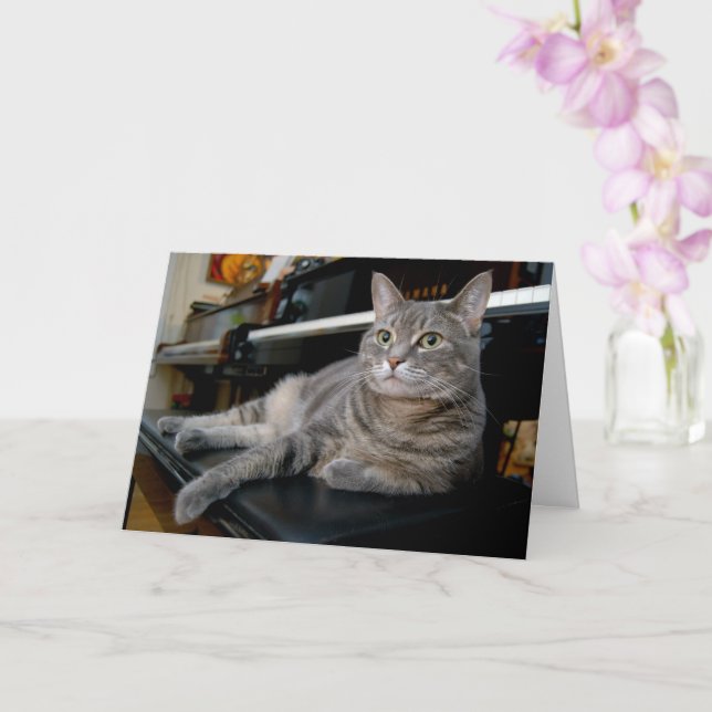 Nora Piano-katten - tomt mappat kort - Stil 005 (Orkide)
