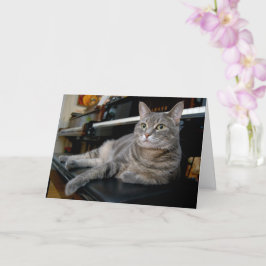 Nora Piano-katten - tomt mappat kort - Stil 005