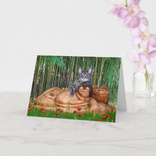 Nora Piano-katten - tomt mappat kort - Stil 008