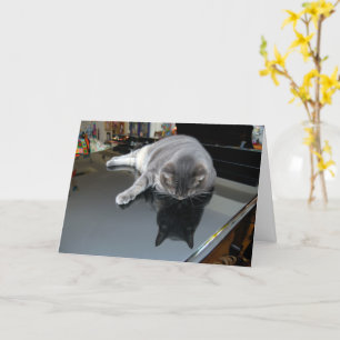 Nora Pianokatten - tomt, vikt kort - Stil 006