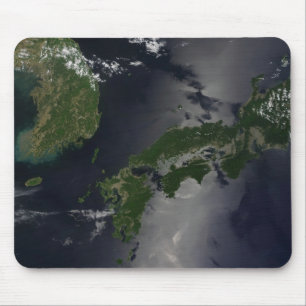 Nord och Sydkorea, Musmatta