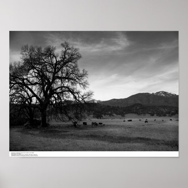 Nord om Stonyford, Colusa County, CA, 1966 Poster (Framsidan)