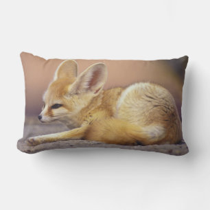 Nordafrika. Ökenräv (Fennecus zerda) Lumbarkudde
